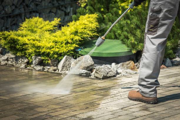 Best Animal Enclosure Cleaning  in St Paul, MN